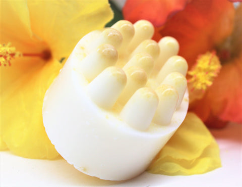 Image of Exfoliating Loofah Massage Soap Bar Soaps jadestropicalcreations 