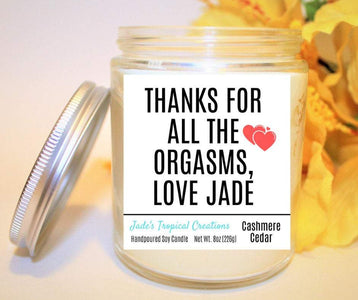Thanks For All The Orgasms, Boyfriend Gift, Valentine Candle, Dirty Candles, Personalized Gift, Naughty Gift, Husband Gift, Inappropriate i_did 