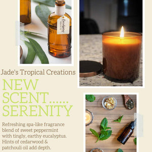 We Have A Winner Pregnancy Candle Status Jar Candle Jade's Tropical Creations 